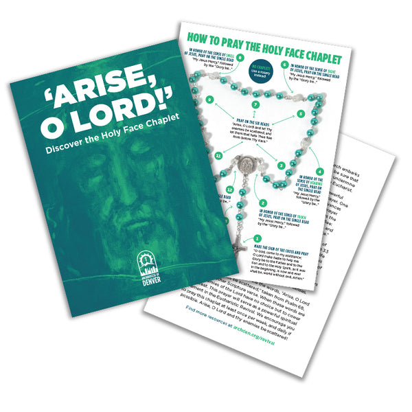 Arise O Lord! Discover the Holy Face Chaplet Holy Card, NEW