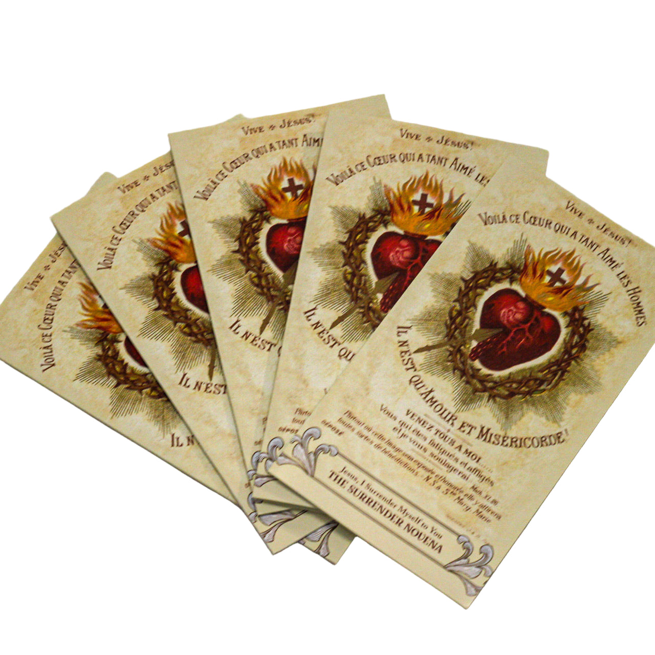 Novena Of Surrender To God Prayer Cards - 5 Pack Trifold Holy Cards