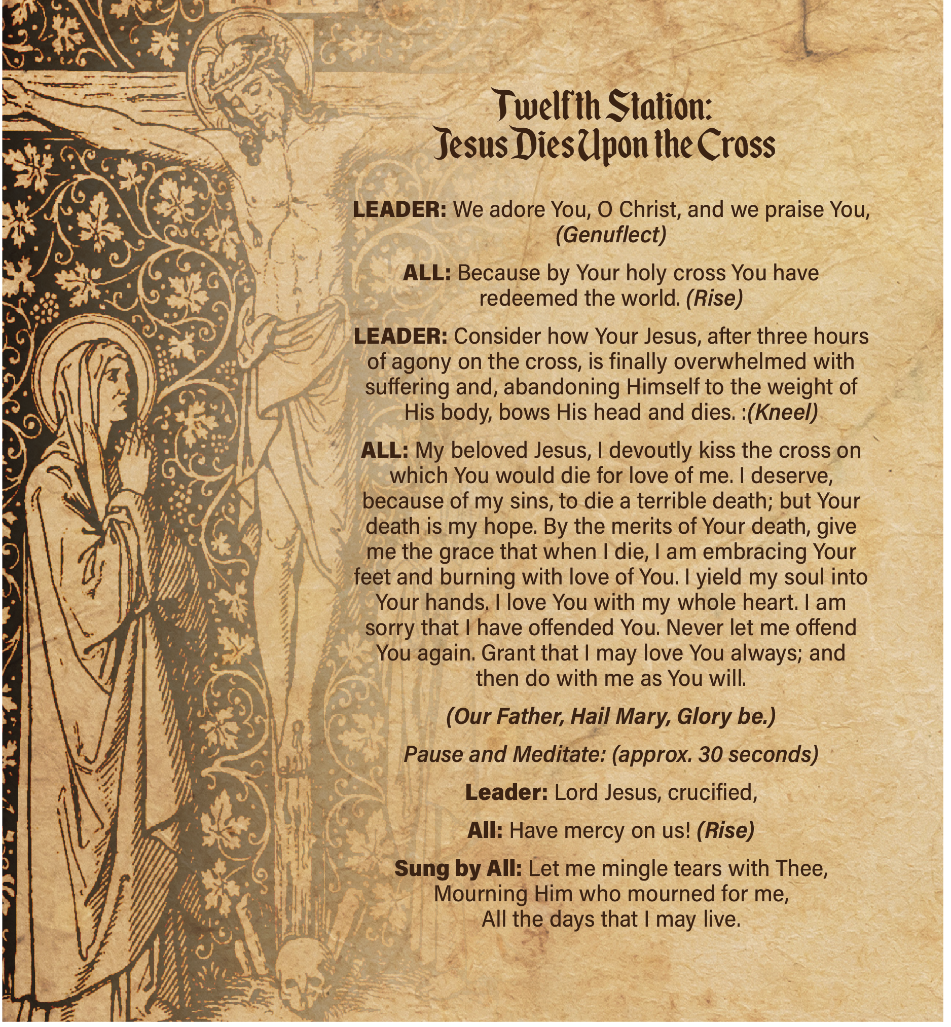 Stations of the Cross Booklet, NEW