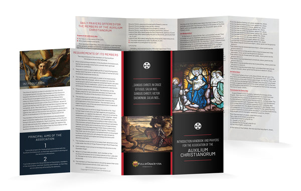 Auxilium Christianorum Card