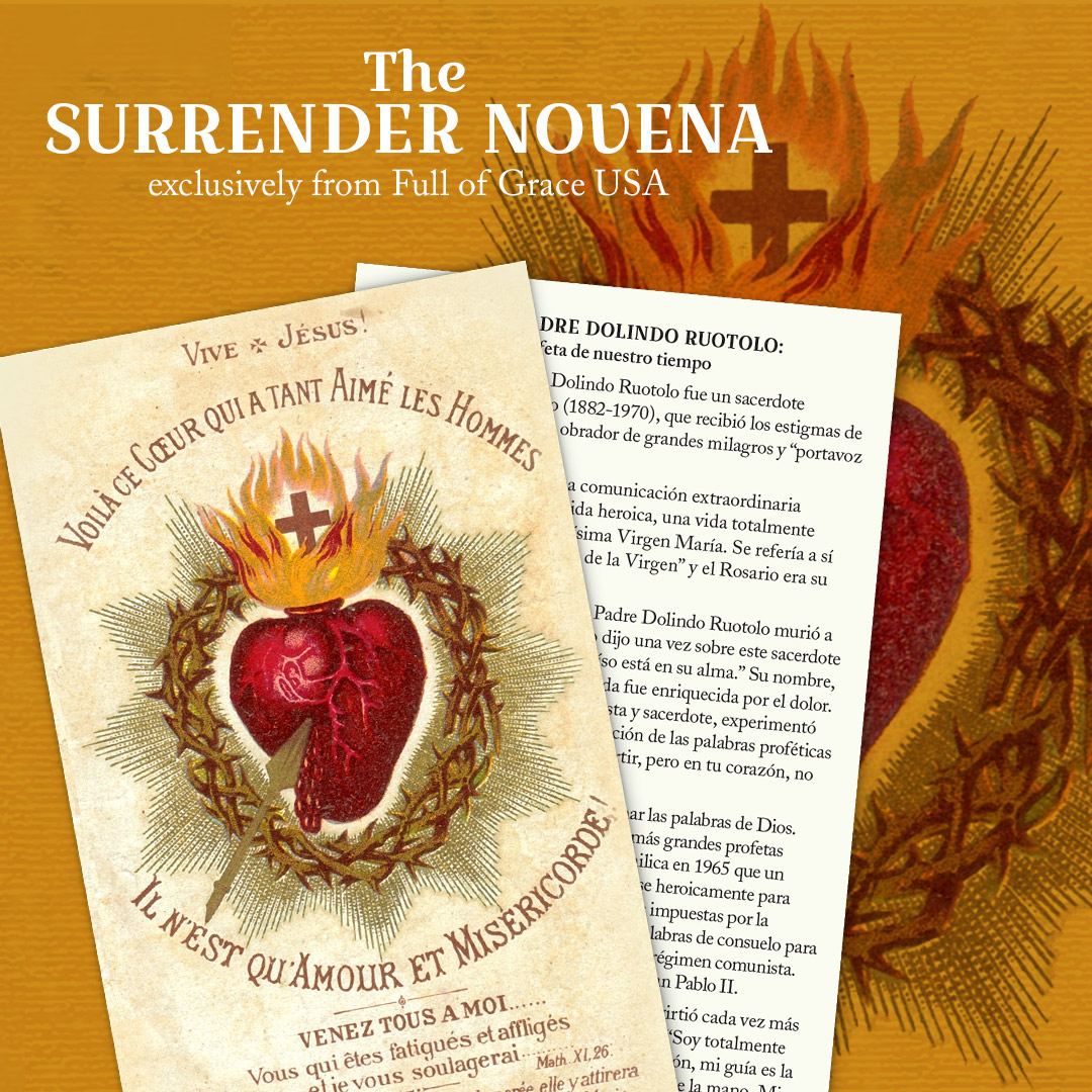 Surrender Novena Products