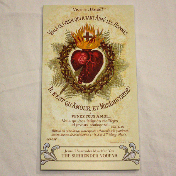 Large Font Surrender Novena Trifold Holy Cards (8" X 4.25" folded)