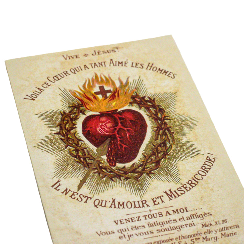 Large Font Surrender Novena Trifold Holy Cards (8" X 4.25" folded)