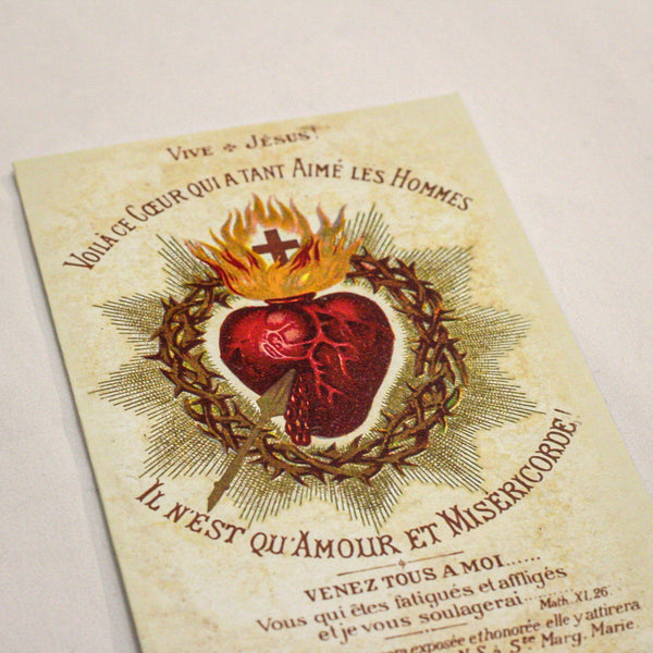 The Surrender Novena - Standard Size