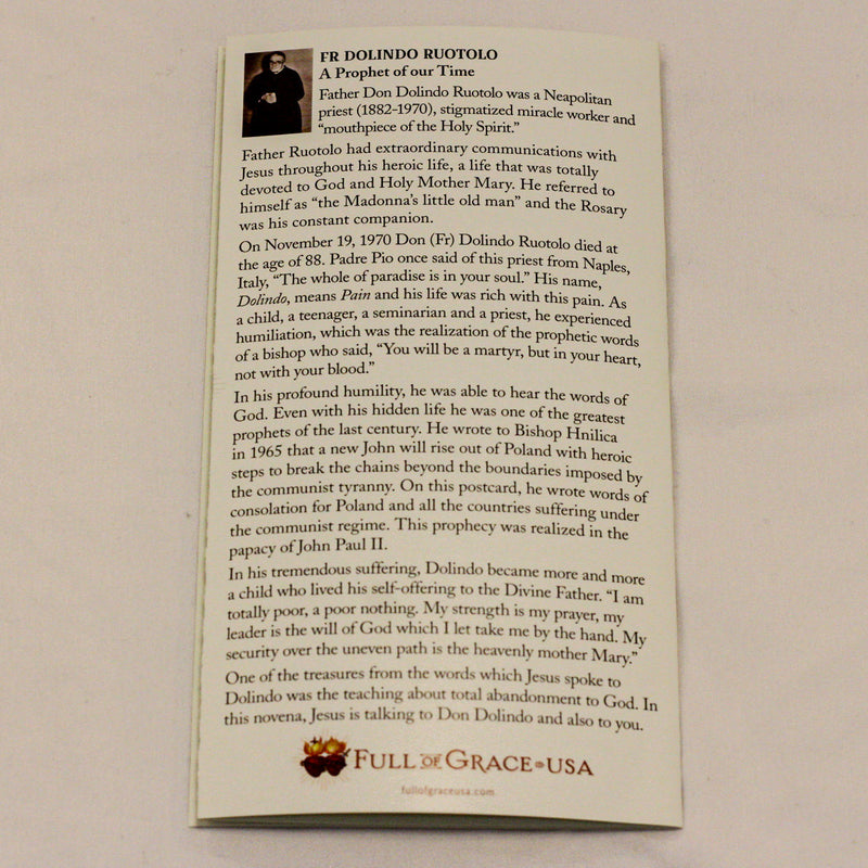 Large Font Surrender Novena Trifold Holy Cards (8" X 4.25" folded)