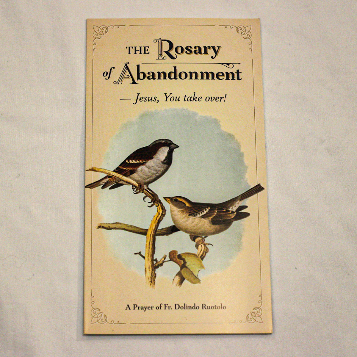 Large Font The Rosary of Abandonment - Jesus, You take over! NEW, A Prayer of Fr Dolindo Ruotolo