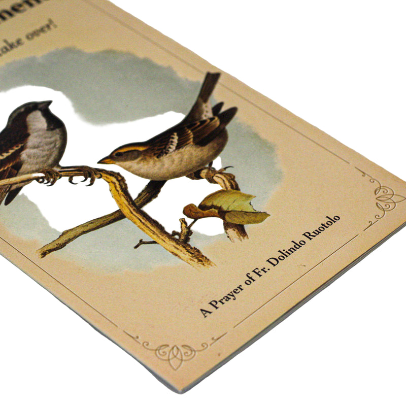 The Rosary of Abandonment by Fr Dolindo Ruotolo - Standard Size NEW