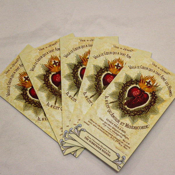 The Surrender Novena - Standard Size