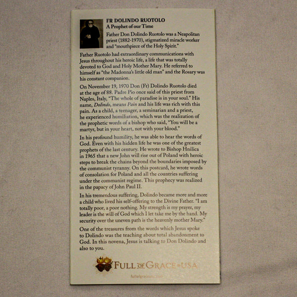 The Surrender Novena - Standard Size