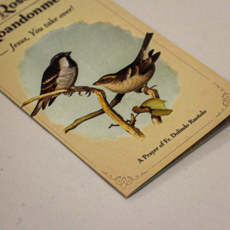 The Rosary of Abandonment by Fr Dolindo Ruotolo - Standard Size NEW