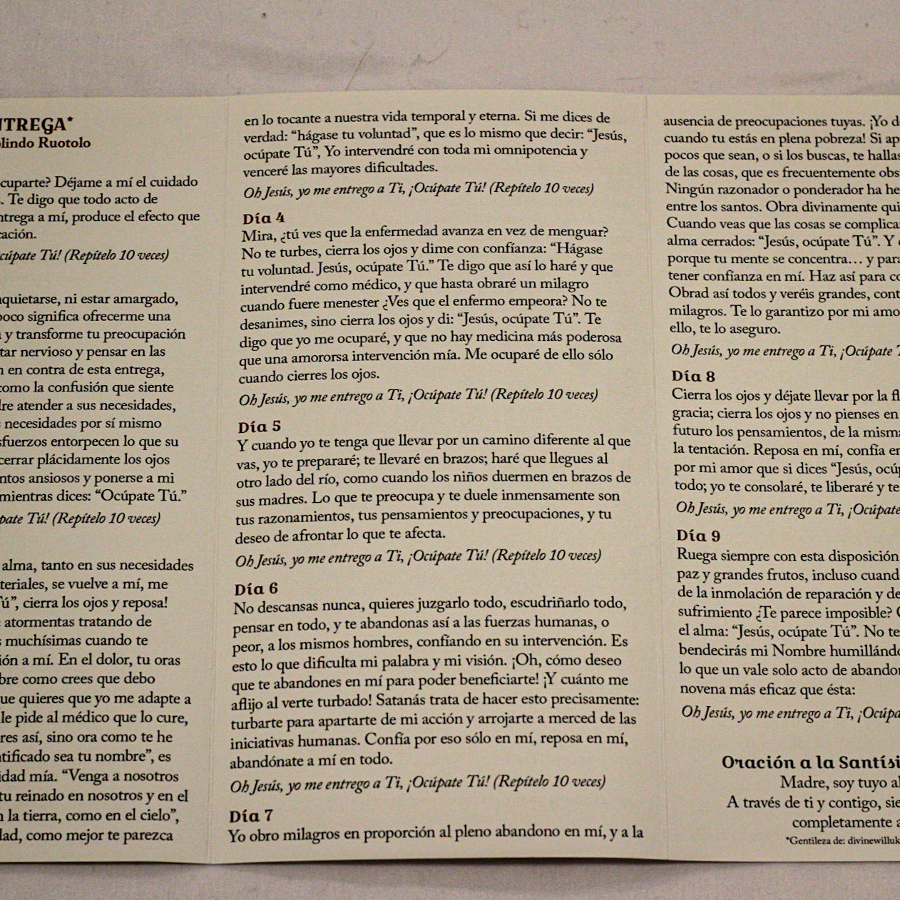 Novena de la Entrega – Tríptico de estampa/The Surrender Novena SPANISH version Trifold Holy Cards (3