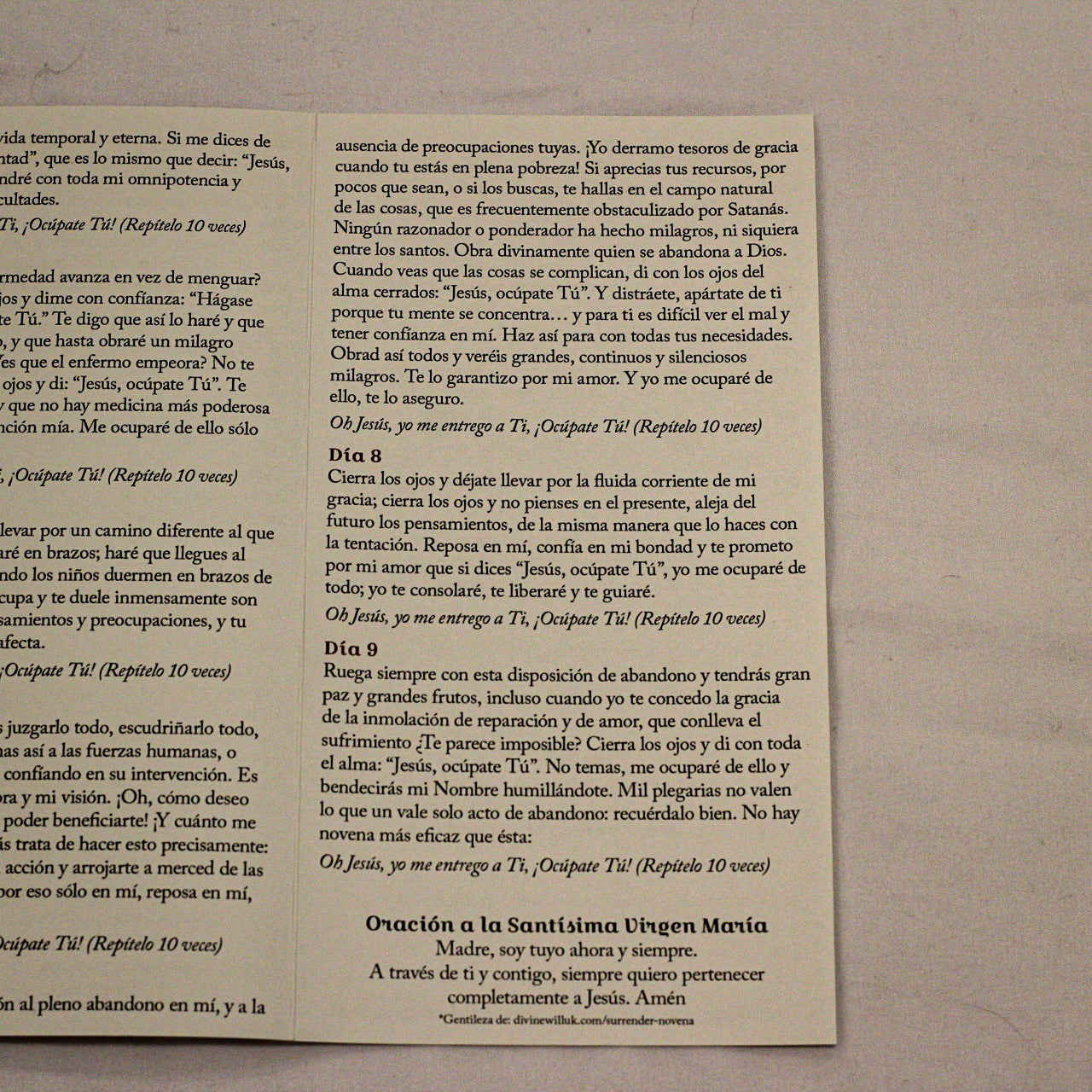 Novena de la Entrega – Tríptico de estampa/The Surrender Novena SPANISH version Trifold Holy Cards (3