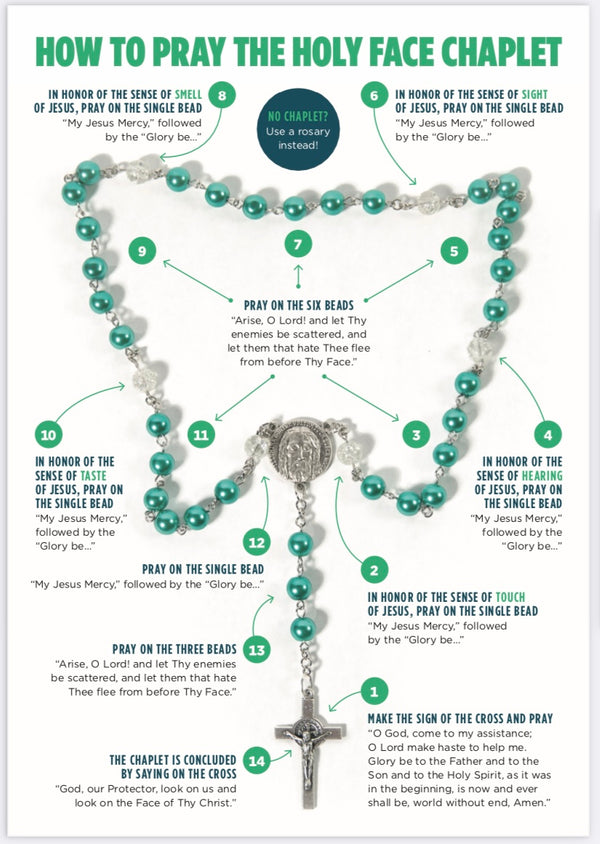 Arise O Lord! Discover the Holy Face Chaplet Holy Card, NEW