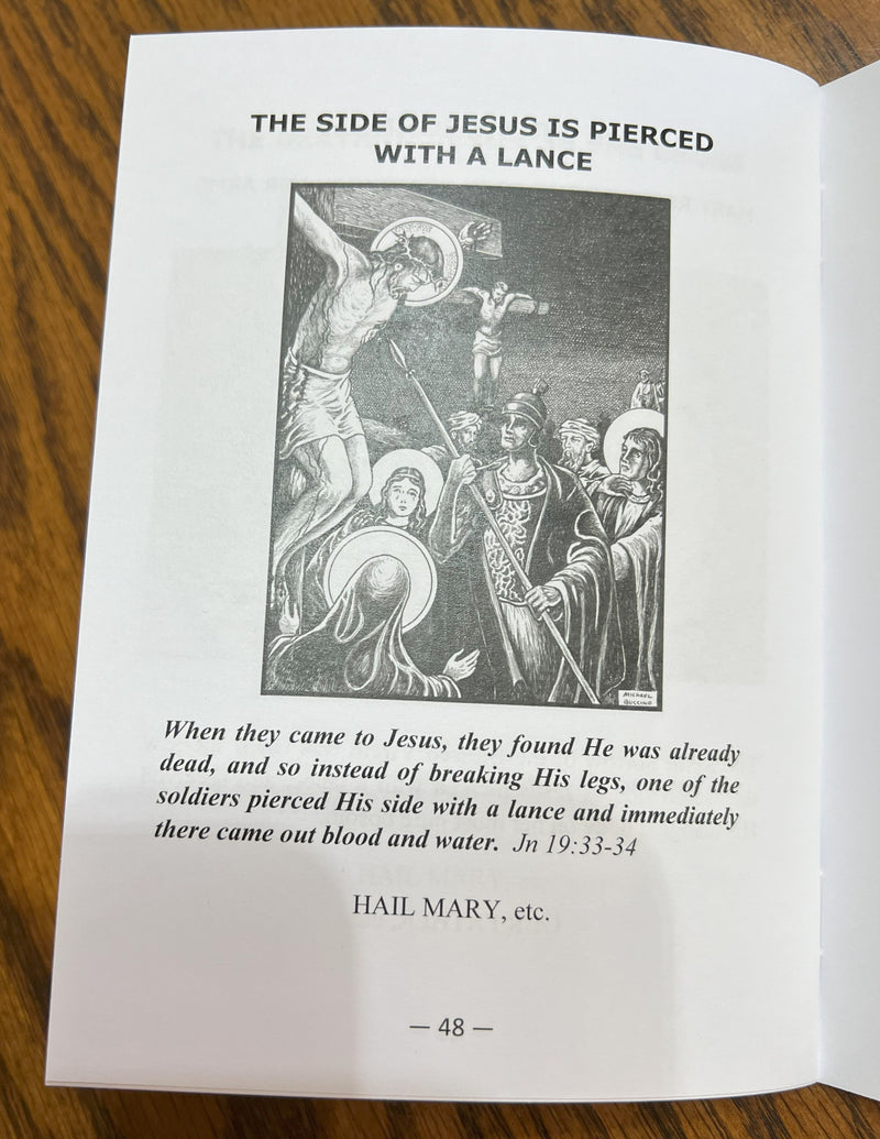 NEW Rosary of the Seven Sorrows booklet