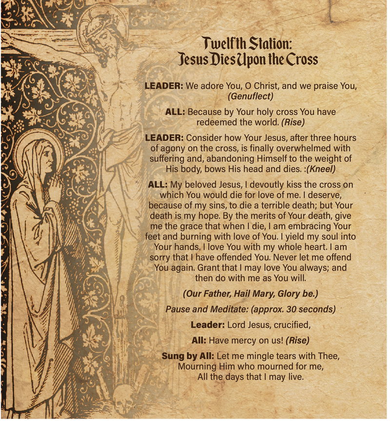 Stations of the Cross Booklet, NEW