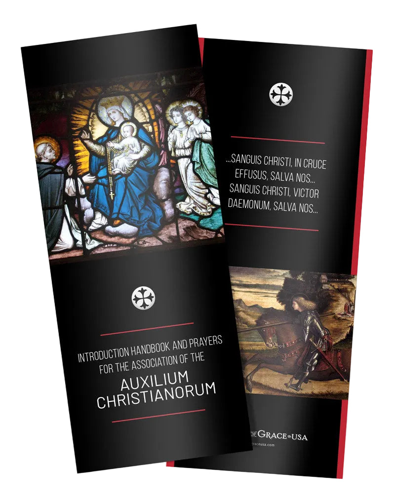 Auxilium Christianorum Card