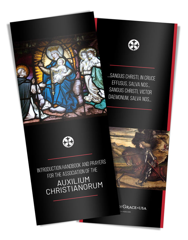 Auxilium Christianorum Card