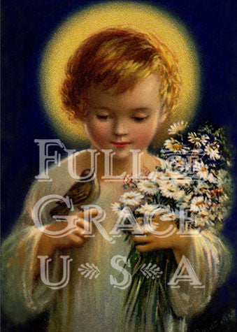 Vita Mundi Print 5X7