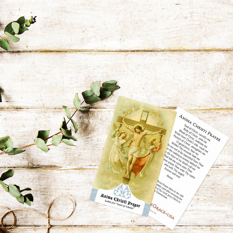Anima Christi Holy Cards