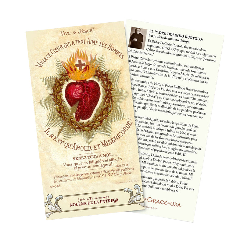 Novena de la Entrega – Tríptico de estampa/The Surrender Novena SPANISH version Trifold Holy Cards (3" X 5")