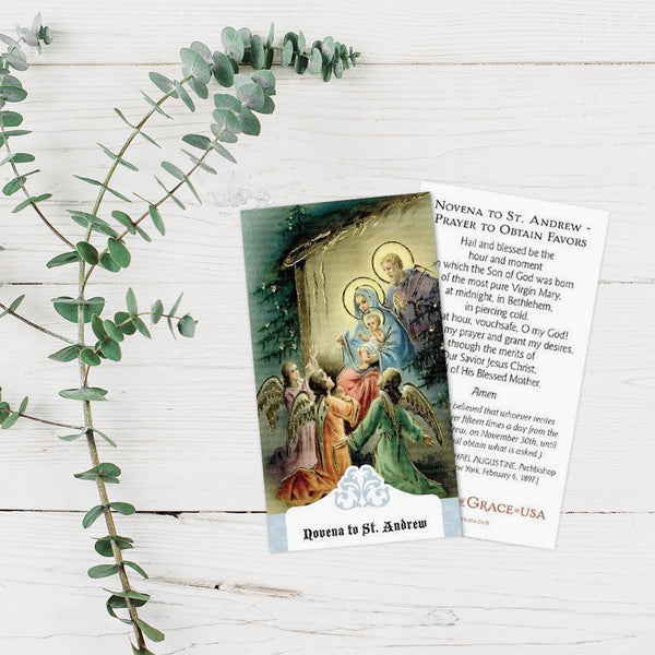 Novena to St. Andrew/Prayer to Obtain Favors Holy Cards