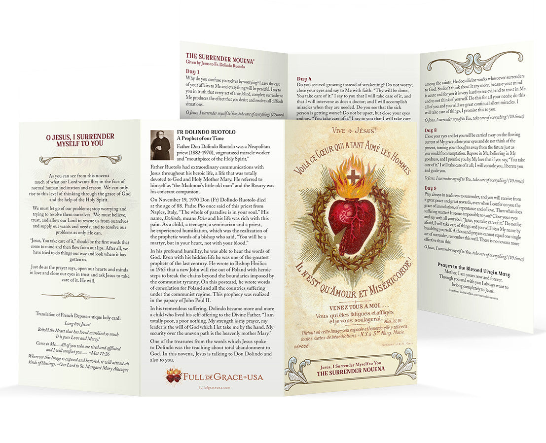 Large Font Surrender Novena Trifold Holy Cards (8
